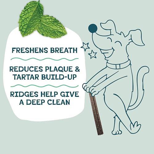 Shameless Pets Blueberry & Mint Dental Chews for Dogs, 8 Chews | Dental Chews for Dogs, Dog Teeth Cleaning Treats with Immune Support