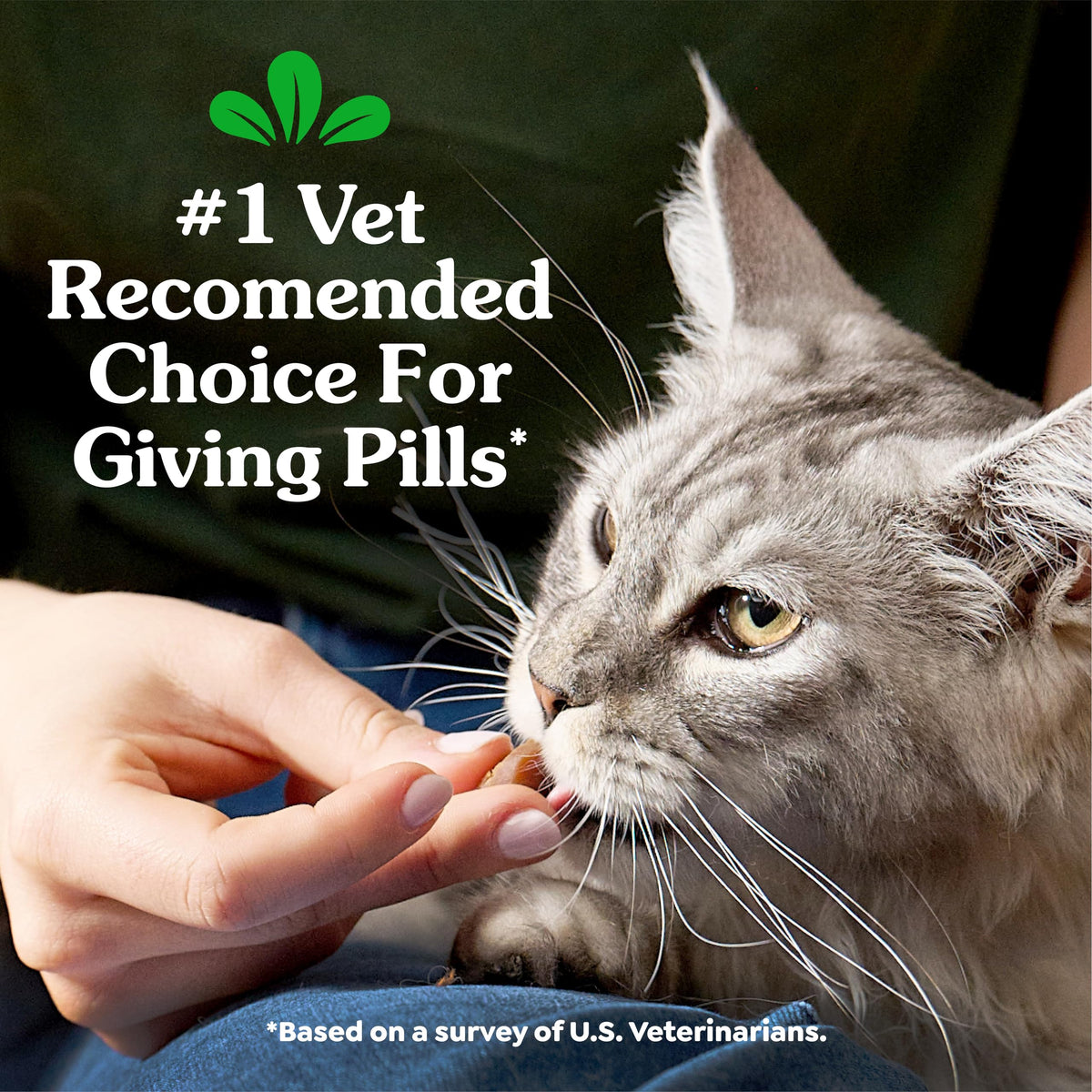 Greenies Feline Pill Pockets Soft Cat Treats, Chicken Flavor, 45 Count | #1 vet-recommended, moldable pocket hides pills, no artificial flavors or preservatives, real ingredients