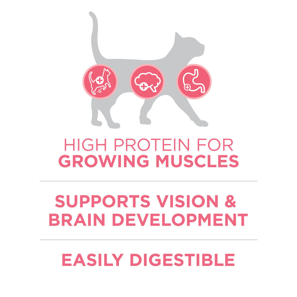 Purina ONE High Protein Natural Kitten Dry Cat Food, 7 lb Bag | Made with real chicken to support growing muscles, DHA for kitten brain development and antioxidants for immunity