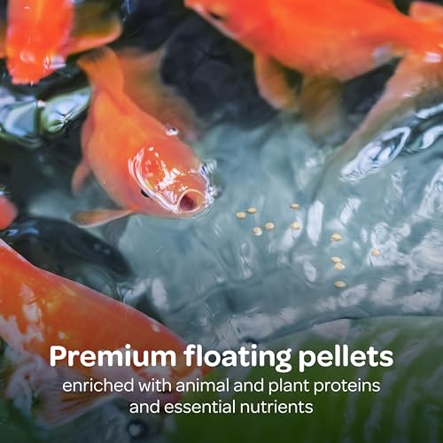 Kaytee Koi's Choice Floating Fish Food for Koi, Goldfish & Pond Fish | Supports growth. Fish food pellets for all seasons. 35% protein, fish meal first, highly digestible koi food