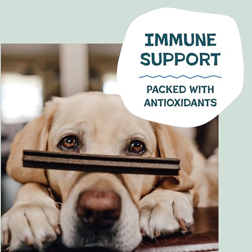 Shameless Pets Blueberry & Mint Dental Chews for Dogs, 8 Chews | Dental Chews for Dogs, Dog Teeth Cleaning Treats with Immune Support