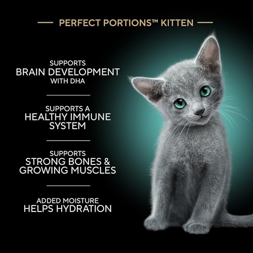 Sheba Perfect Portions Kitten Pate Wet Cat Food, Multipack, 2.6 oz, 24 ct | Chicken, Turkey, & Salmon, DHA for brain development, Vitamin E for immunity, real meat, essential amino acids, 48 servings