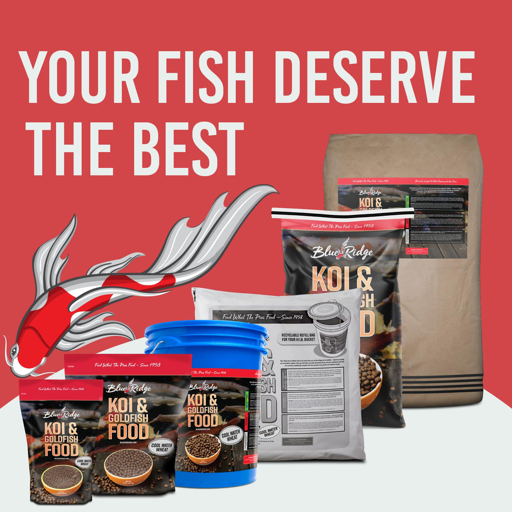 Blue Ridge Cool Water Wheat Koi Fish Food, 3/16" Pellets, 5 lb | Wheat-germ formula, easy cool-water digestion; floats & softens fast; works in auto feeders; vitamins & minerals added