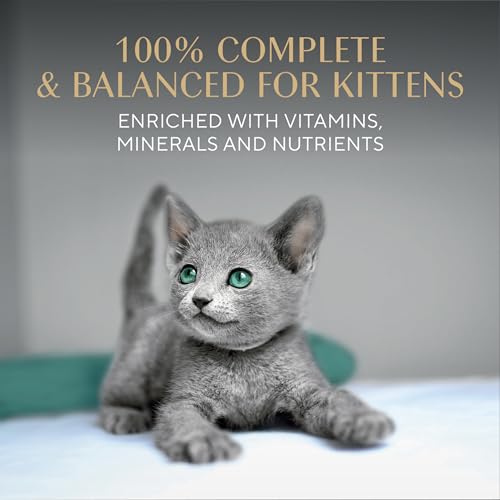 Sheba Perfect Portions Kitten Pate Wet Cat Food, Multipack, 2.6 oz, 24 ct | Chicken, Turkey, & Salmon, DHA for brain development, Vitamin E for immunity, real meat, essential amino acids, 48 servings