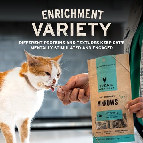 Vital Essentials Freeze Dried Cat Treats, Chicken Breast, 2.1 oz Bag | Single Ingredient, Premium Quality Protein, Grain-Free Healthy Treats, USA Made with U.S. & Globally Sourced Ingredients