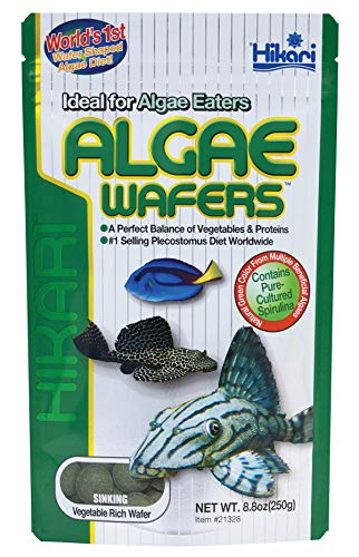 Hikari® Algae Wafers™ Sinking Wafers for Bottom-Feeding Tropical Fish, 8.8 oz (250g)
