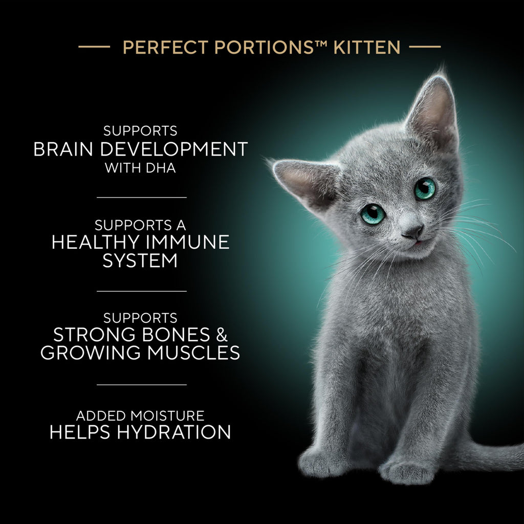 Sheba Perfect Portions Kitten Pate Wet Cat Food, Multipack, 2.6 oz, 24 ct | Chicken, Turkey, & Salmon, DHA for brain development, Vitamin E for immunity, real meat, essential amino acids, 48 servings
