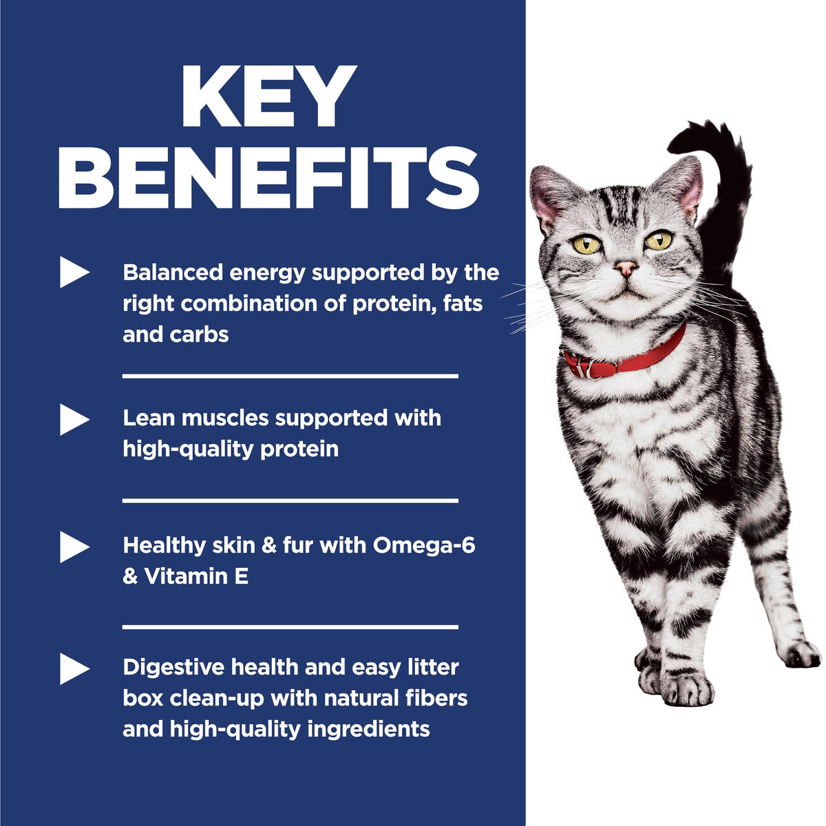 Hill's Science Diet Adult 1-6 Indoor Dry Cat Food | #1 Veterinarian Recommended, Chicken Recipe, 7 lb. Bag