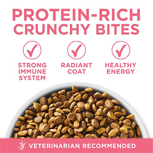 Purina ONE High Protein Natural Kitten Dry Cat Food, 7 lb Bag | Made with real chicken to support growing muscles, DHA for kitten brain development and antioxidants for immunity