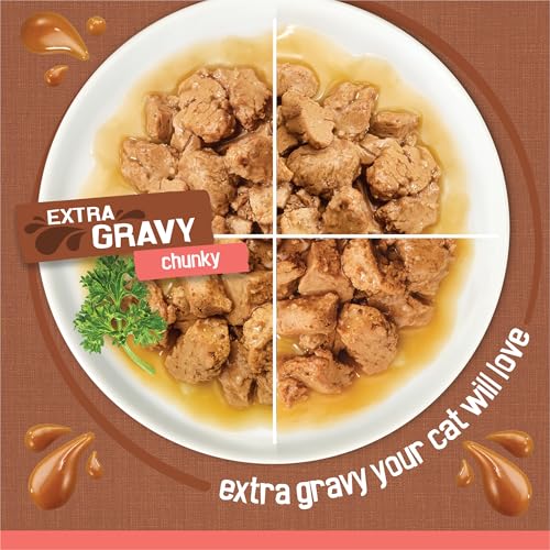 Purina Friskies Extra Gravy Wet Cat Food Chunky Variety, (24) 5.5 oz. Cans | Variety Pack With Chicken, Turkey, Salmon, & Beef cat food in savory gravy, for tender, tasty meals