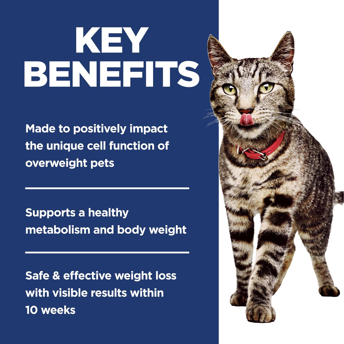 Hill's Science Diet Adult Perfect Weight Dry Cat Food | #1 Veterinarian Recommended, Chicken Recipe, 7 lb. Bag