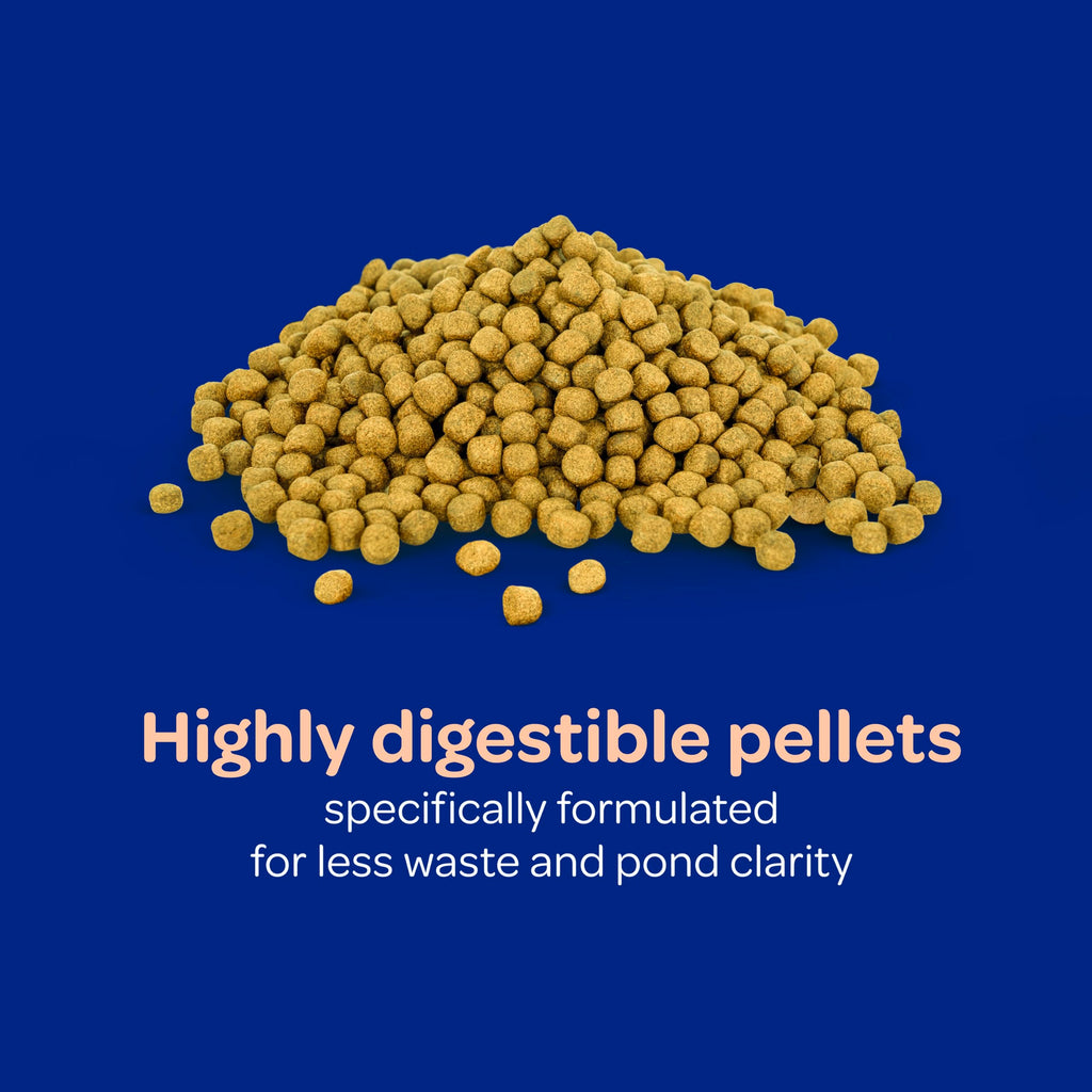 Kaytee Koi's Choice Floating Fish Food for Koi, Goldfish & Pond Fish | Supports growth. Fish food pellets for all seasons. 35% protein, fish meal first, highly digestible koi food