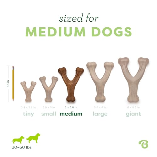 Benebone Wishbone Dog Chew Toy for Aggressive Chewers, Real Bacon, Medium | Durable, Super Chewer, Made in USA, Dog Bones, Long-Lasting, A Size for Every Dog, Keeps Them Busy