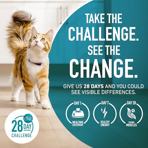 Purina ONE High Protein Natural Kitten Dry Cat Food, 7 lb Bag | Made with real chicken to support growing muscles, DHA for kitten brain development and antioxidants for immunity