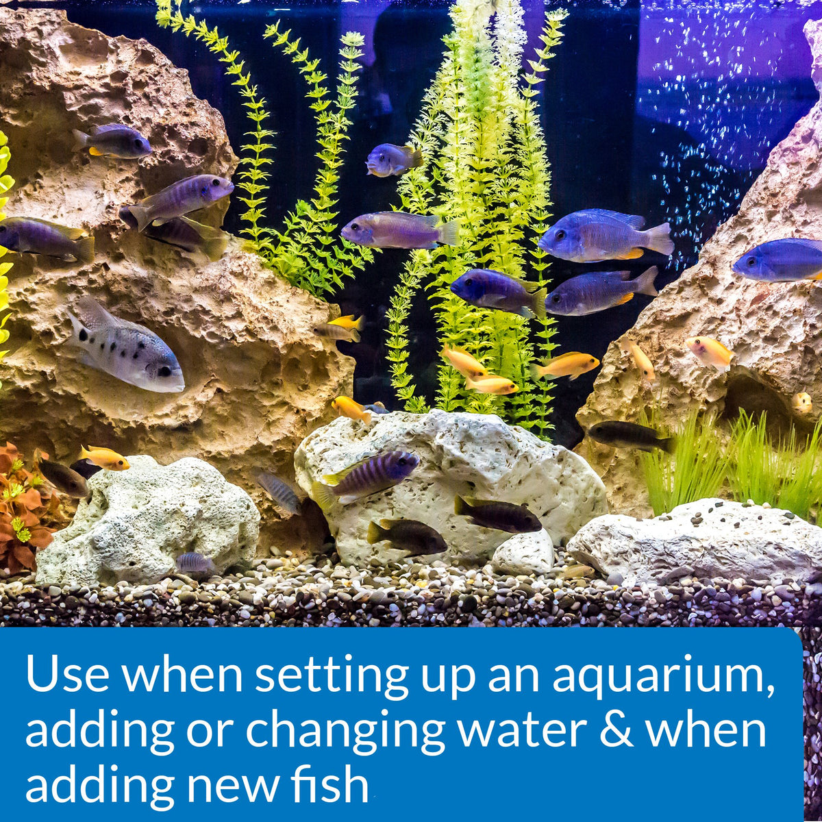 API Quick Start Freshwater & Saltwater Aquarium Nitrifying Bacteria (4 oz) | Allows You to Add Fish Faster - Reduces Harmful Compounds - Treats Up to 120 Gallons - New Aquarium Setup or Water Change