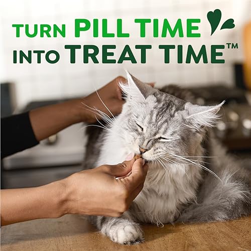 Greenies Feline Pill Pockets Soft Cat Treats, Chicken Flavor, 45 Count | #1 vet-recommended, moldable pocket hides pills, no artificial flavors or preservatives, real ingredients