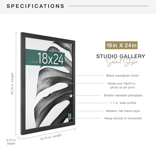 MCS Studio Gallery Poster Frame, 18x24, Black Woodgrain, 1-Pack | Studio Gallery Poster Frame For Photos & Art Prints, 18x24 Inch, Black Woodgrain Engineered Wood, 1-Pack