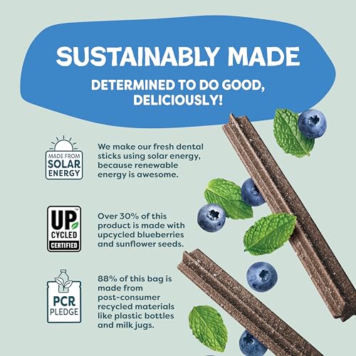 Shameless Pets Blueberry & Mint Dental Chews for Dogs, 8 Chews | Dental Chews for Dogs, Dog Teeth Cleaning Treats with Immune Support