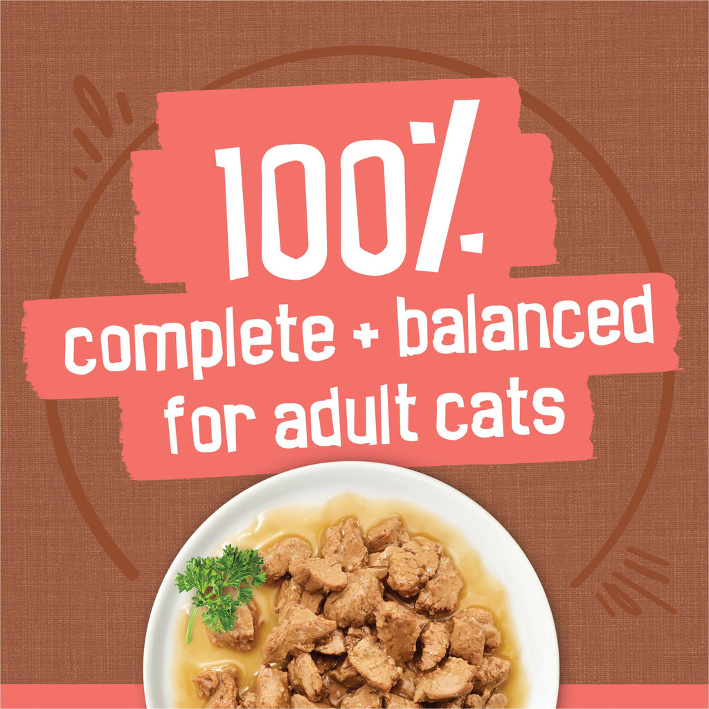 Purina Friskies Extra Gravy Wet Cat Food Chunky Variety, (24) 5.5 oz. Cans | Variety Pack With Chicken, Turkey, Salmon, & Beef cat food in savory gravy, for tender, tasty meals