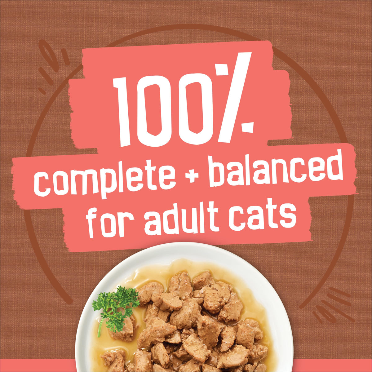 Purina Friskies Extra Gravy Wet Cat Food Chunky Variety, (24) 5.5 oz. Cans | Variety Pack With Chicken, Turkey, Salmon, & Beef cat food in savory gravy, for tender, tasty meals