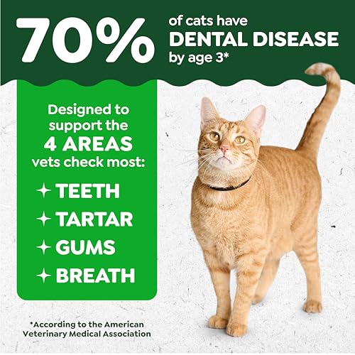 Greenies Feline Natural Dental Cat Treats, Catnip Flavor, 9.75 oz