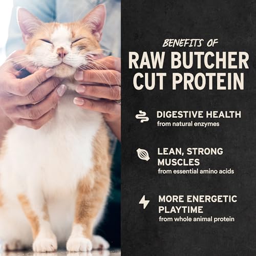 Vital Essentials Freeze Dried Minnows Cat Treats, 1.0 oz Bag | Single Ingredient, Premium Quality Protein, Grain Free, Healthy Treats, USA Made with U.S. & Globally Sourced Ingredients