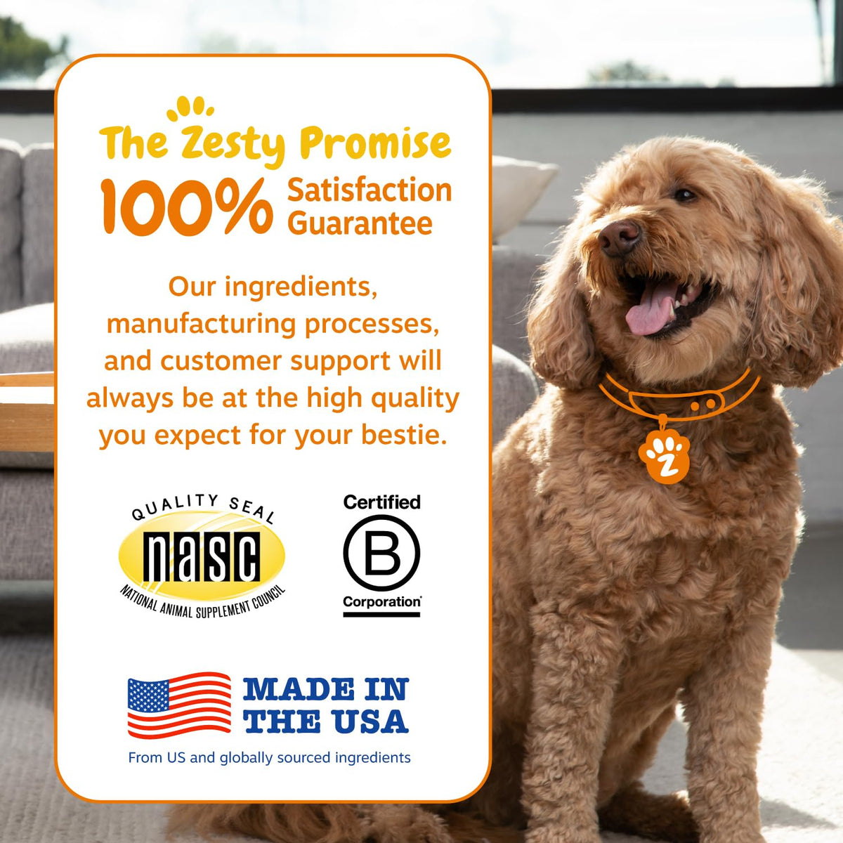 Zesty Paws Probiotics for Dogs - Gut Health Soft Chews, Pumpkin, 90 Ct | Probiotics for Dogs Soft Chews for Gut Health & Digestive Support