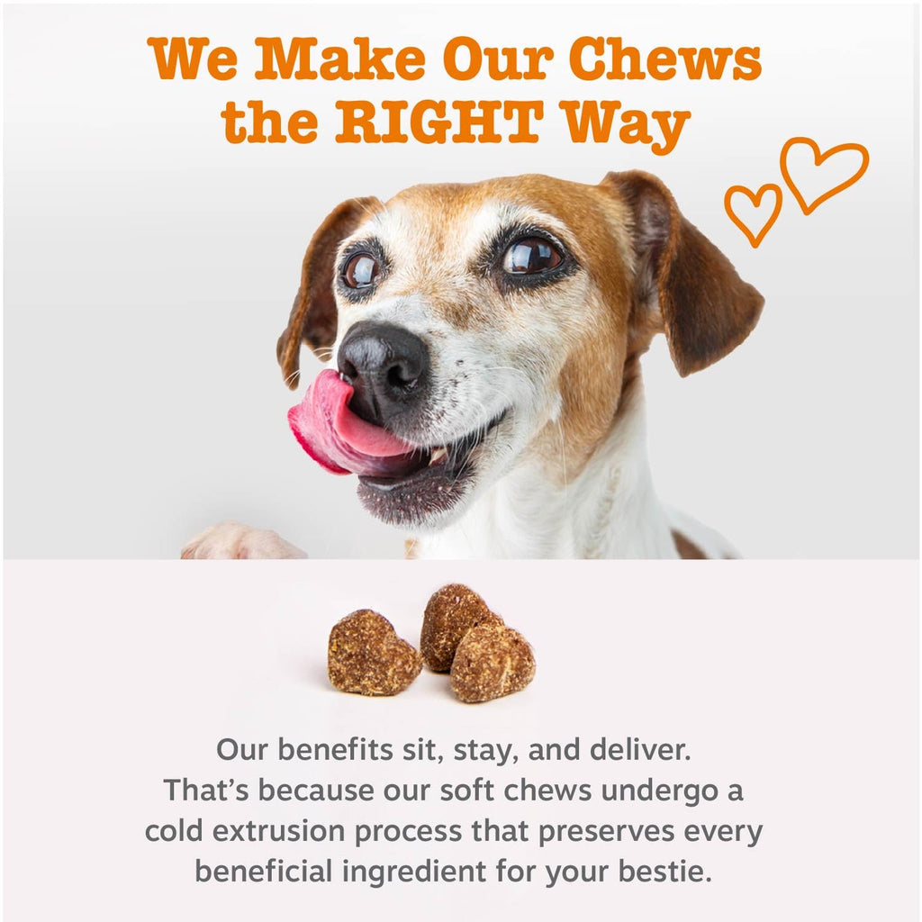Zesty Paws Probiotics for Dogs - Gut Health Soft Chews, Pumpkin, 90 Ct | Probiotics for Dogs Soft Chews for Gut Health & Digestive Support