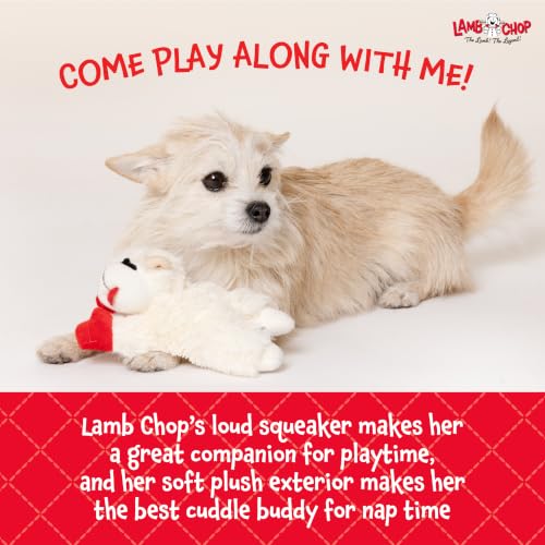 Multipet Lamb Chop Dog Plush Toy - Squeaky Toy