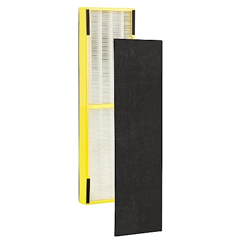 GermGuardian, Filter B HEPA Pure Genuine Air Purifier Filter, Removes 99.97% of Pollutants, Wildfire Smoke, Odors, for Ac4825, Ac4300, Ac4850, Ac4880, Ac4900, Cdap4500, Ap2200, Flt4825