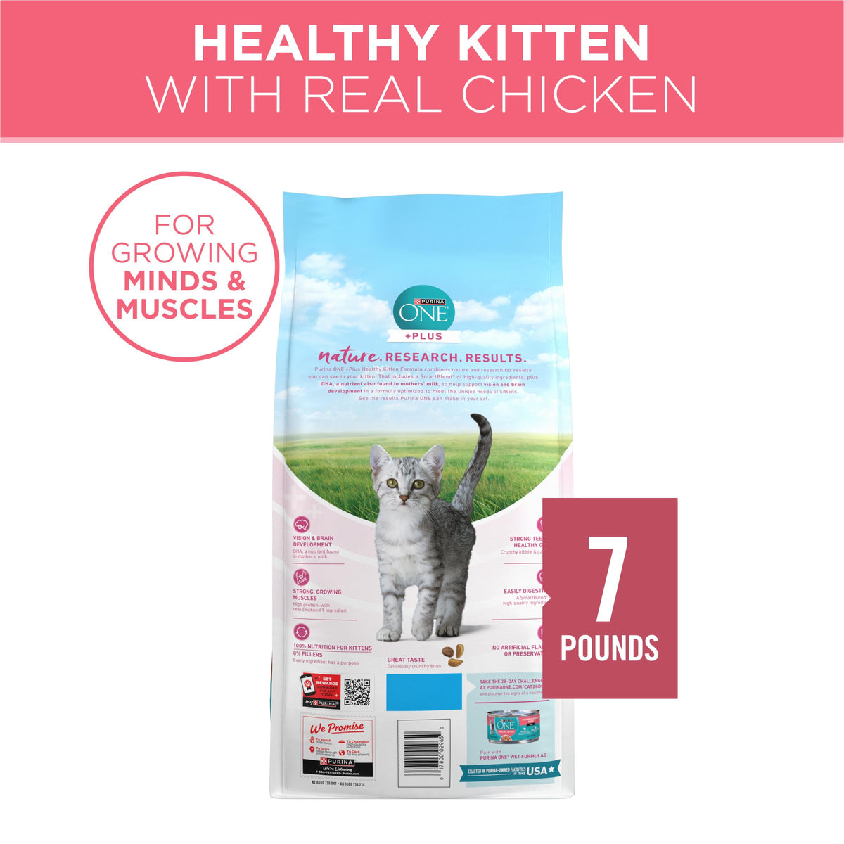 Purina ONE High Protein Natural Kitten Dry Cat Food, 7 lb Bag | Made with real chicken to support growing muscles, DHA for kitten brain development and antioxidants for immunity