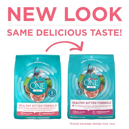 Purina ONE High Protein Natural Kitten Dry Cat Food, 7 lb Bag | Made with real chicken to support growing muscles, DHA for kitten brain development and antioxidants for immunity