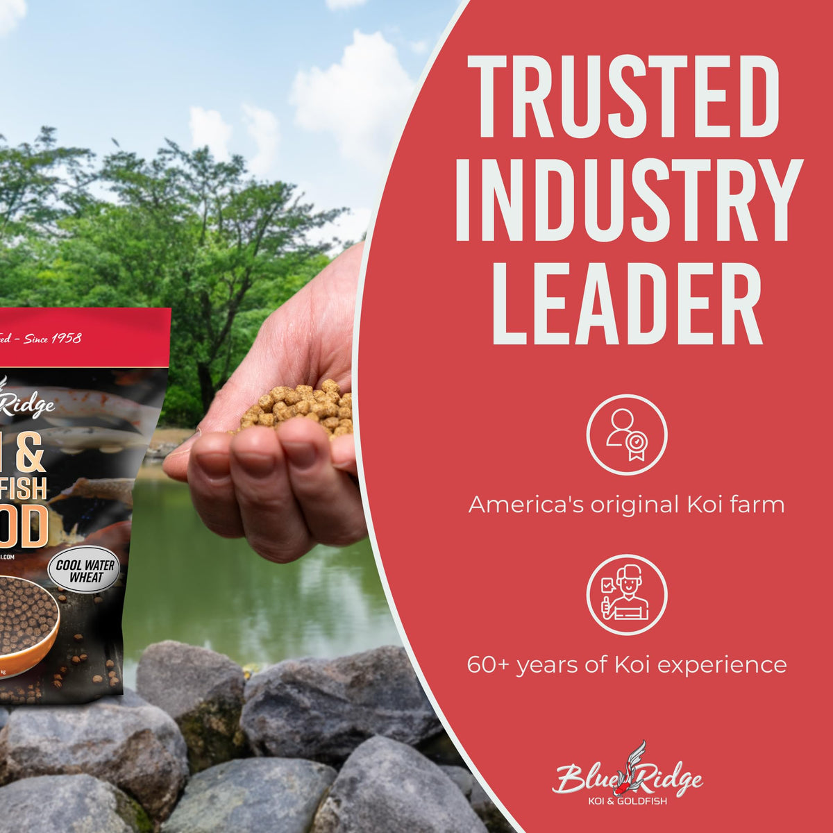 Blue Ridge Cool Water Wheat Koi Fish Food, 3/16" Pellets, 5 lb | Wheat-germ formula, easy cool-water digestion; floats & softens fast; works in auto feeders; vitamins & minerals added