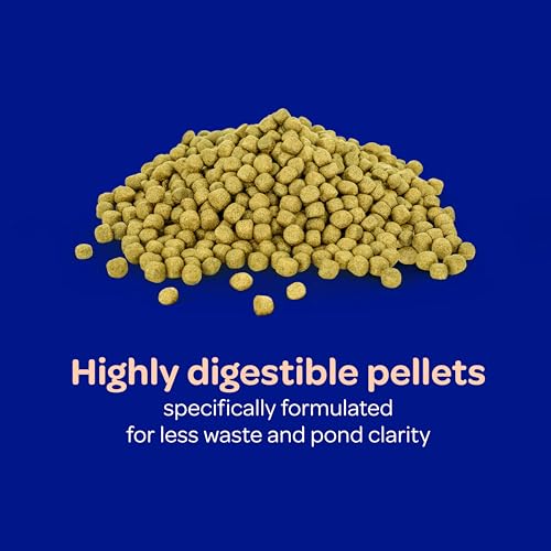 Kaytee Koi's Choice Floating Fish Food for Koi, Goldfish & Pond Fish | Supports growth. Fish food pellets for all seasons. 35% protein, fish meal first, highly digestible koi food