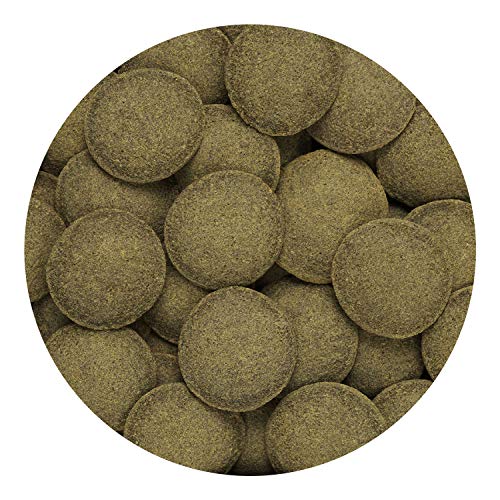 Hikari® Algae Wafers™ Sinking Wafers for Bottom-Feeding Tropical Fish, 8.8 oz (250g)