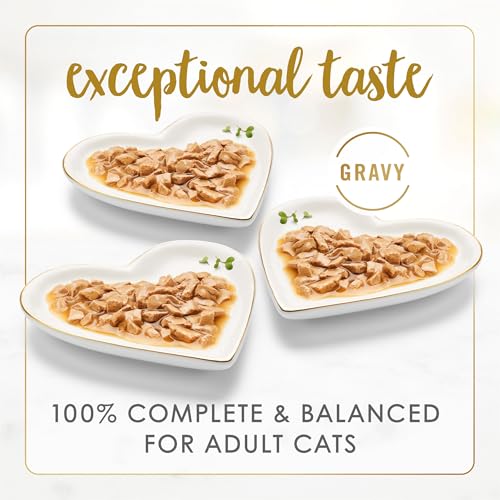Purina Fancy Feast Gravy Lovers, Poultry & Beef Wet Cat Food, 3oz, 24-Pack | Variety Pack, grilled gourmet texture made with no artificial colors or preservatives, 100 percent complete and balanced