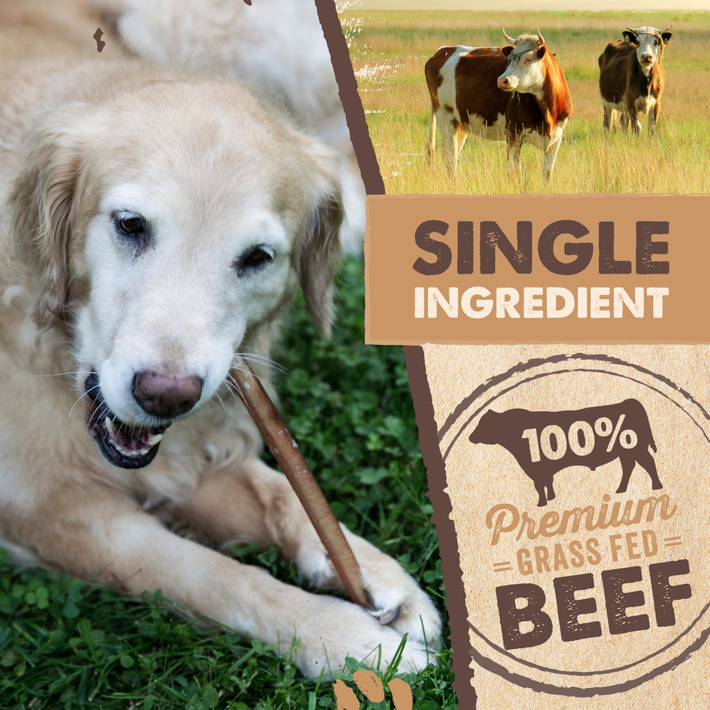 Mighty Paw 12" Bully Sticks for Dogs - Large, Medium and Small Dog Chew | Single Ingredient, Grass-Fed, Low Odor, 5 pk, High Protein, Boredom Buster