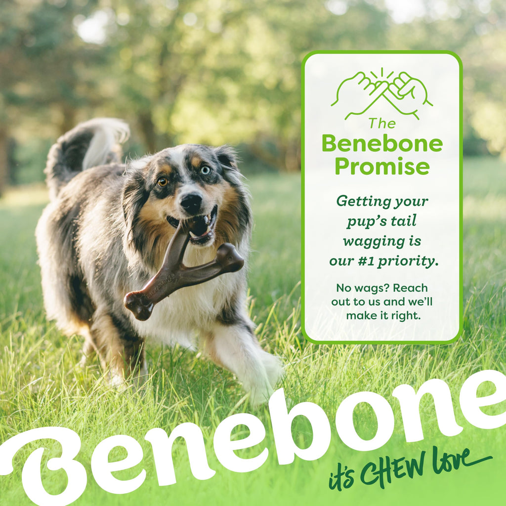 Benebone Wishbone Dog Chew Toy for Aggressive Chewers, Real Bacon, Medium | Durable, Super Chewer, Made in USA, Dog Bones, Long-Lasting, A Size for Every Dog, Keeps Them Busy