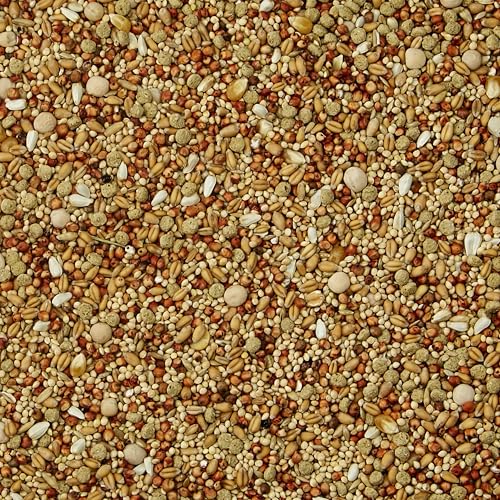 Kaytee Supreme Dove Food, Dove Bird Seed, 5 Pounds | Balanced daily nutrition. Whole-grain birdseed with seeds, grains and pellets. Bird food, no artificial colors or flavors