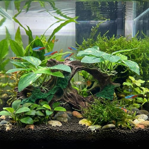 Aquarium Decorations Cave Silk Aquarium Plants Betta Fish Tank Decor | Soft & Safe Fish Tank Accessories, Aquarium Decor Plants for Beta Goldfish Bowl Decor, Artificial Driftwood Fish Cave