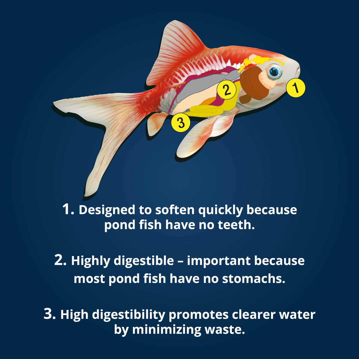 Tetra Pond Sticks Fish Food For Goldfish & Koi, 1.72 lbs | Healthy Daily Diet For All Pond Fish, Easy To Digest Floating Sticks Promote Clearer Water, Feed When Water Is +50 Degrees
